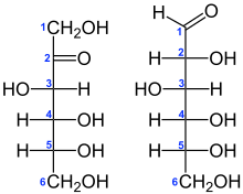 Công thức cấu tạo ( hình chiếu Fischer ) của fructozơ (trái) và glucozơ (phải). Nguồn: wikipedia