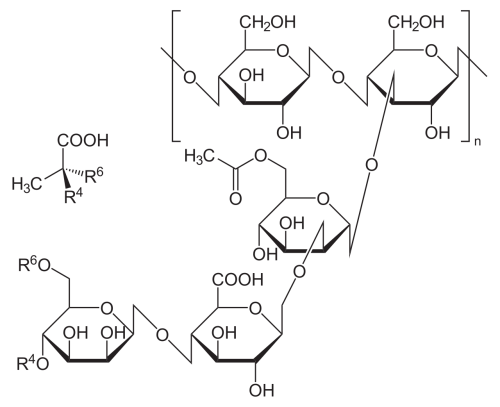 Cấu trúc của Xanthan Gum. Ảnh Wikipedia