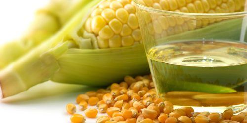 High Fructose Corn Syrup được làm từ ngô (corn/maize)