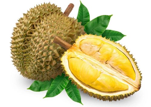 Hương sầu riêng – Durian Flavor